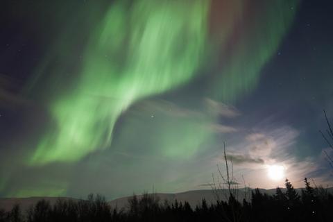 Norrskenstur från Akureyri