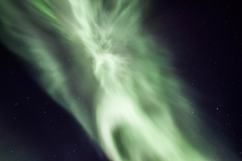 Noorderlicht Tour vanuit Akureyri