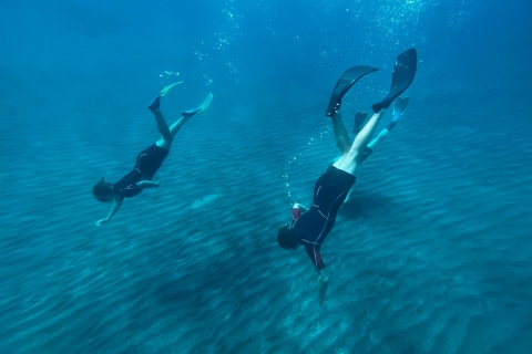 Tenerife : Excursion de snorkeling avec déjeuner et photos