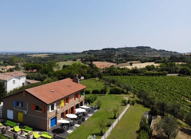 Rimini, San Valentino Vineyards Tour with DOC Wine Tastings - Housity