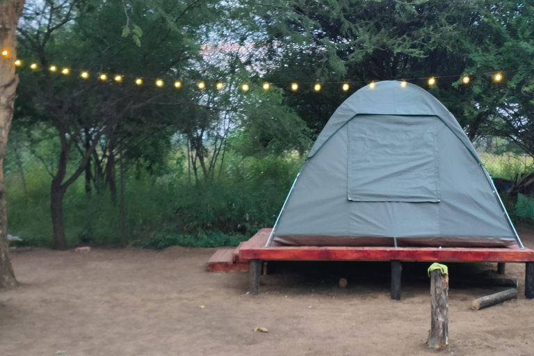 3-tägige Tlou-Zelt-Safari in Pilanesberg3-tägige Tlou-Zelt-Safari im Pilanesberg