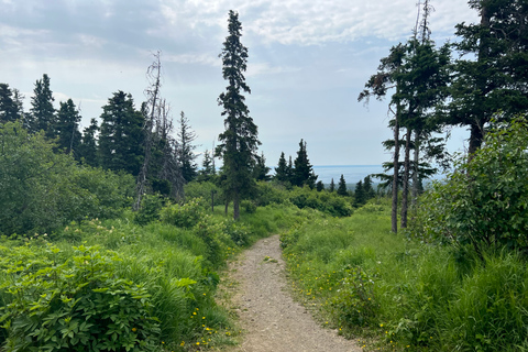 From Anchorage: Chugach State Park Walk with Naturalist From Anchorage: Flora and Fauna Nature Walk with Naturalist
