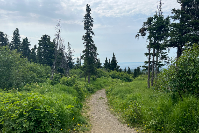 From Anchorage: Chugach State Park Walk with Naturalist From Anchorage: Flora and Fauna Nature Walk with Naturalist