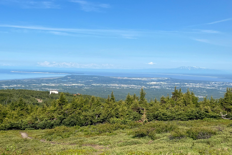 From Anchorage: Chugach State Park Walk with Naturalist From Anchorage: Flora and Fauna Nature Walk with Naturalist