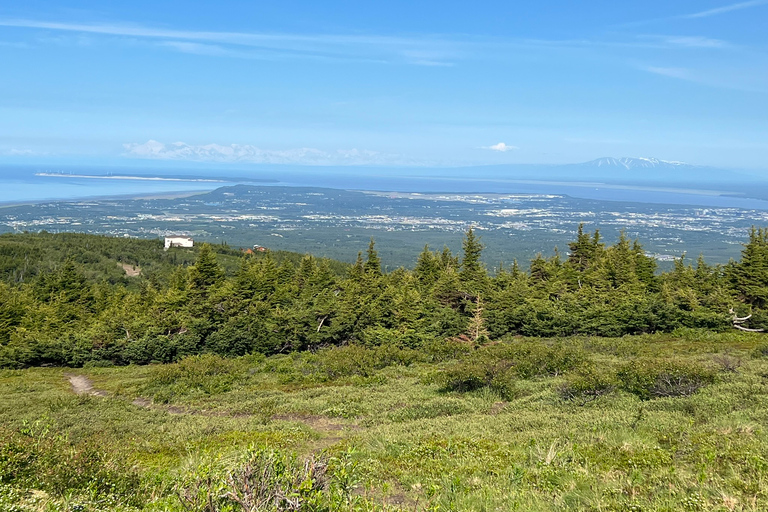 From Anchorage: Chugach State Park Walk with Naturalist From Anchorage: Flora and Fauna Nature Walk with Naturalist