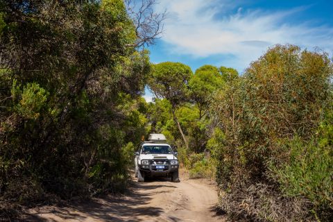 Port Lincoln: Wildlife and Sightseeing Full-Day 4WD Tour