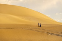 Coffin Bay National Park, Highlights and Off-Road 4WD Tour - Housity