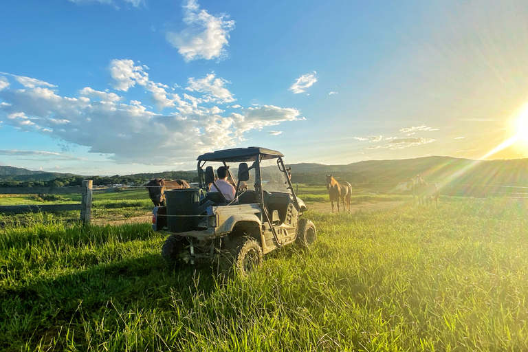 Cairns: Skyrail, Kuranda halve dag en ATV-regenwoudSkyrail, Kuranda halve dag en quadbike-regenwoudtour