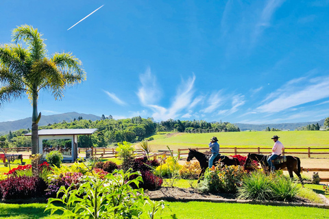 Cairns: Skyrail, Kuranda Halbtag und ATV RegenwaldSkyrail, Kuranda Halbtagestour und Quad-Tour durch den Regenwald