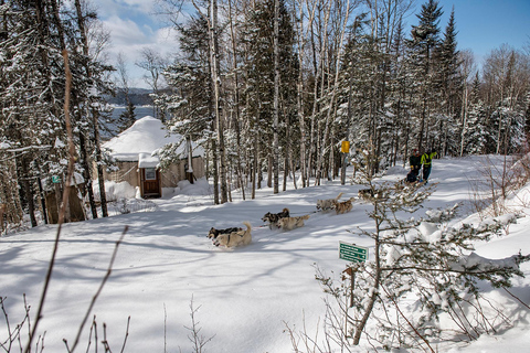 Quebec Excursión en trineo tirado por perros por el fiordo de Saguenay