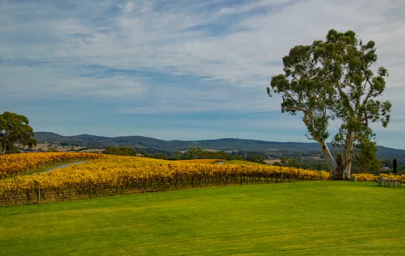 Adelaide Adelaide Hills and Hahndorf Guided Tour with Lunch GetYourGuide