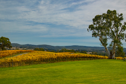 Adelaide: Adelaide Hills und Hahndorf Geführte Tour mit Mittagessen