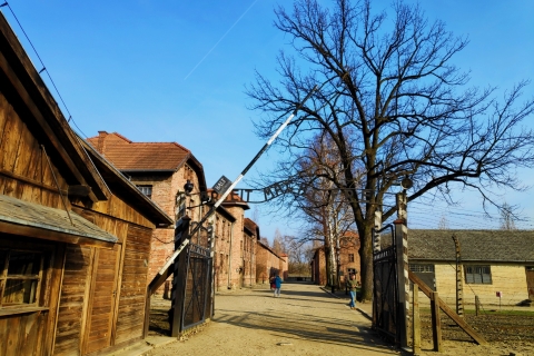 Krakau: Auschwitz-Birkenau & Wieliczka-zoutmijn met lunchDagtour met hotelovername en lunch