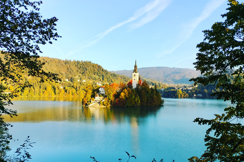 De Ljubljana: excursion privée d'une journée au lac de Bled