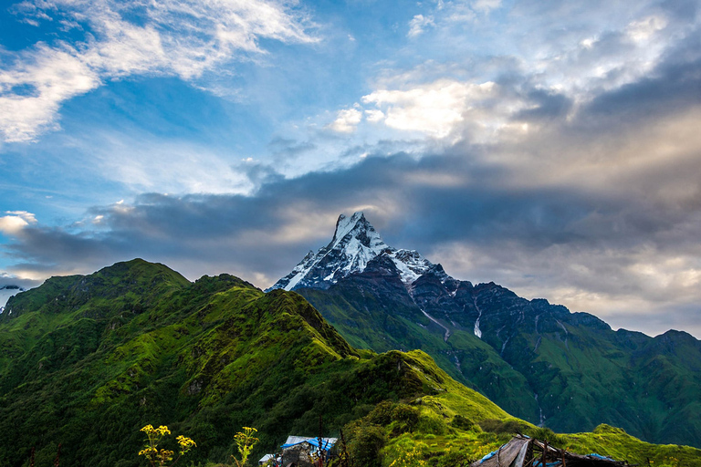 Kathmandu: 9-Day Mardi Himal TrekPickup from Thamel, Kathmandu