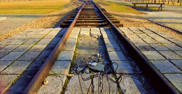 Krakau: Tour zur Gedenkstätte Auschwitz-Birkenau mit optionalem Mittagessen