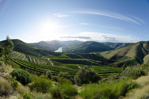 Porto : Visite privée de 2 vignobles avec dégustations et pique-nique