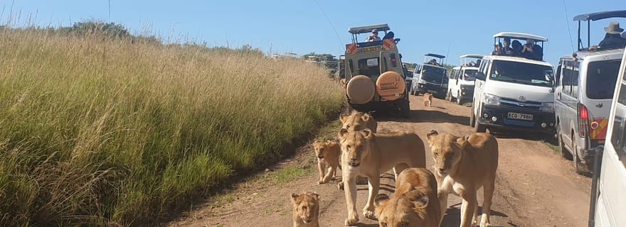 Safari budgétaire de groupe de 9 jours à travers le Kenya et la Tanzanie