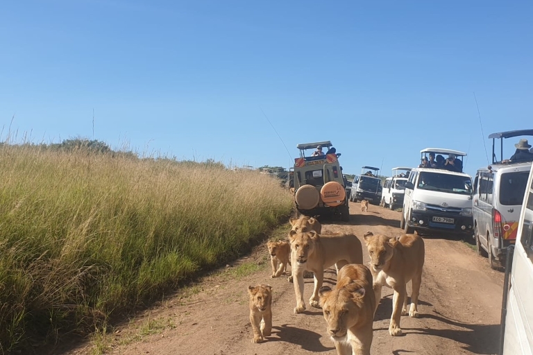 8-dniowe budżetowe grupowe safari po Kenii i Tanzanii8-dniowe safari w Kenii i Tanzanii Zakwaterowanie o wyższym standardzie