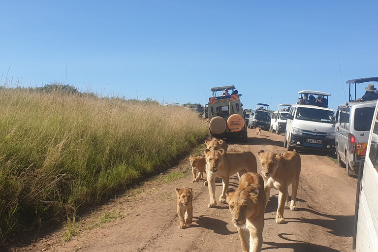 Safari budgétaire de groupe de 8 jours à travers le Kenya et la TanzanieSafari de 8 jours au Kenya et en Tanzanie Hébergement amélioré