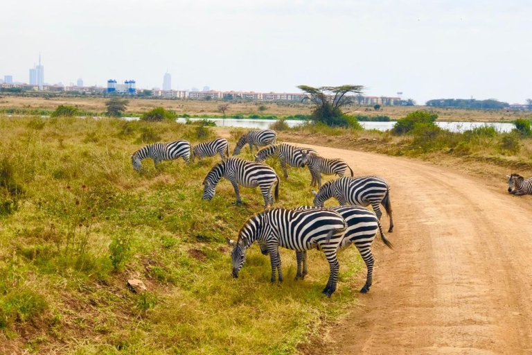 Safari budgétaire de groupe de 8 jours à travers le Kenya et la TanzanieSafari de 8 jours au Kenya et en Tanzanie Hébergement amélioré
