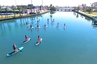 Daytona Beach, Kayaking ou Standup Paddling Tour - Housity