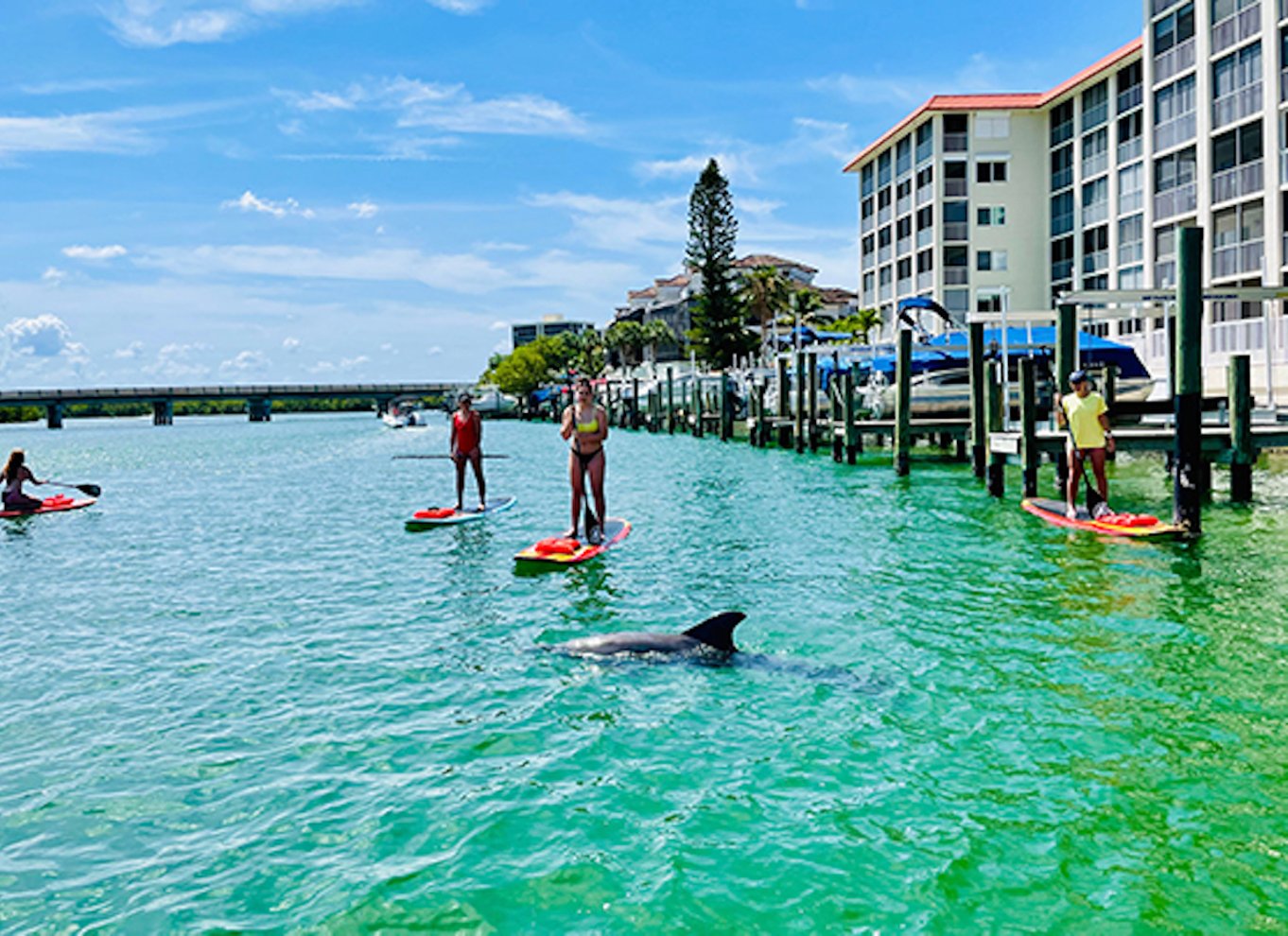 Fort Myers: Guidet Standup Paddleboarding eller Kajak tur
