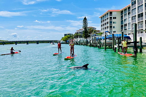 Fort Myers Dolphin & Manatee Kayak or Paddleboard Tour