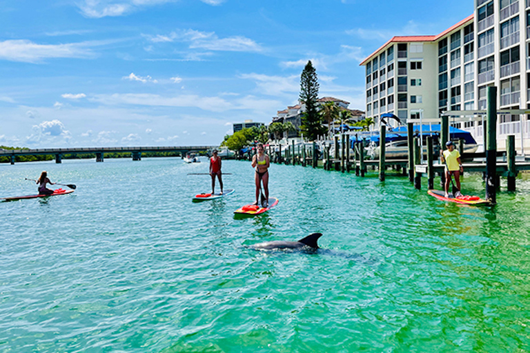 Fort Myers Dolphin & Manatee Kayak or Paddleboard Tour