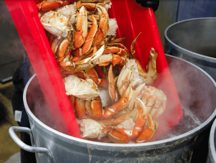Ketchikan Wilderness Boat Cruise and Crab Feast Lunch GetYourGuide
