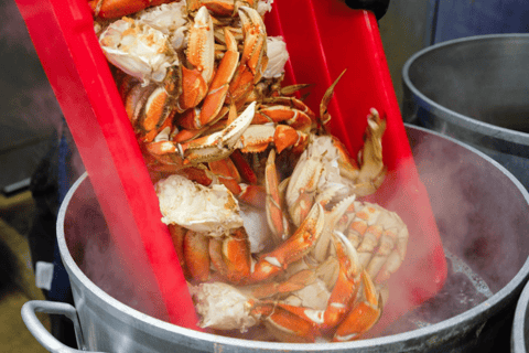 Ketchikan: Wilderness Boat Cruise and Crab Feast Lunch