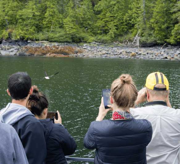 Ketchikan: Wilderness Boat Cruise and Crab Feast Lunch | GetYourGuide