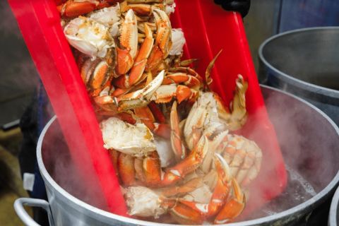 From Ketchikan: Crab Feast Lunch at World Famous Lodge