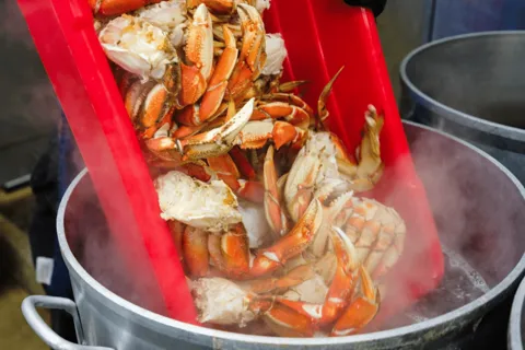 From Ketchikan: Crab Feast Lunch at World Famous Lodge