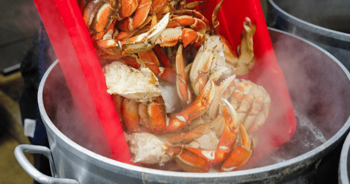 Van Ketchikan Crab Feast Lunch in World Famous Lodge GetYourGuide
