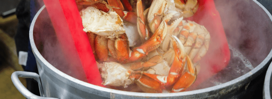 De Ketchikan : Déjeuner du festin de crabe au World Famous Lodge