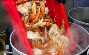 From Ketchikan: Crab Feast Lunch at World Famous Lodge