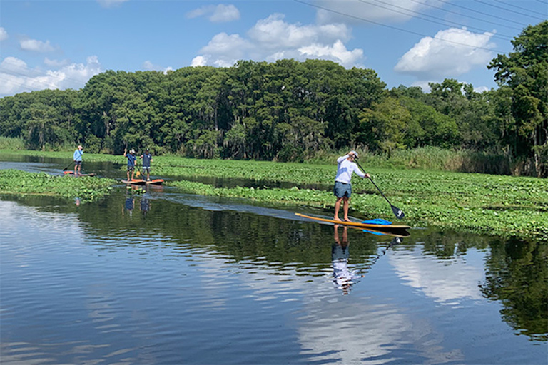 Sanford: SUP guiado ou passeio de observação de peixes-boi em caiaque