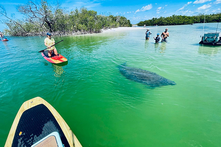 Naples, FL: Guided Standup Paddleboard or Kayak Tour Marco Island: Guided Standup Paddleboard or Kayak Tour