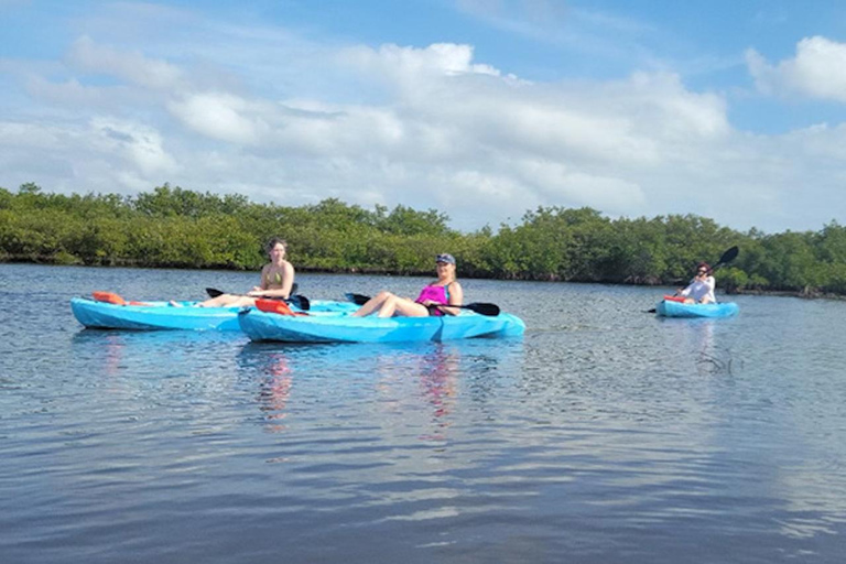 Naples, FL: Guided Standup Paddleboard or Kayak Tour Marco Island: Guided Standup Paddleboard or Kayak Tour
