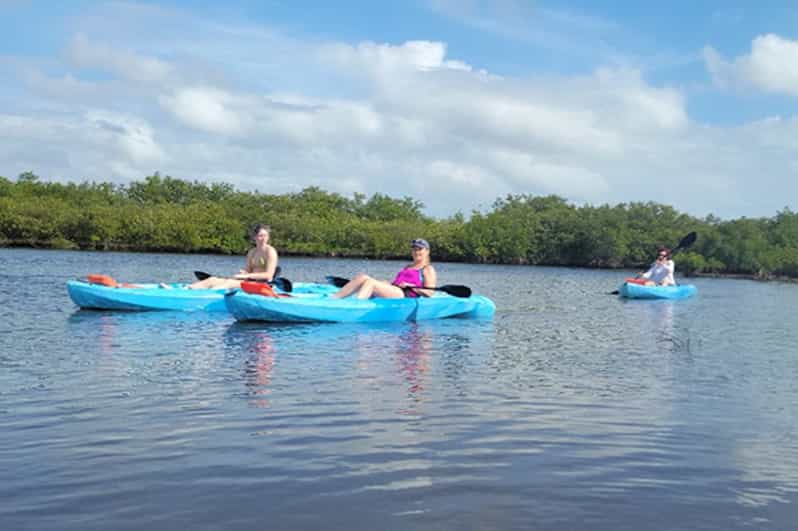 Marco Island Guided ManateeWatching Kayaking or SUP Tour GetYourGuide