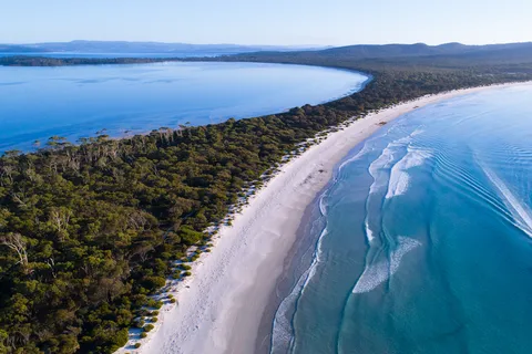 Triabunna : excursion en bateau de l'île Maria et de l'île Des Phoques