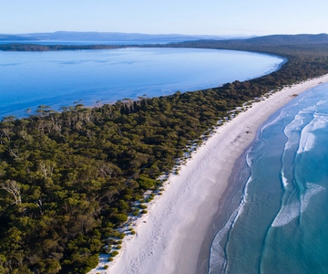 Triabunna : excursion en bateau de l'île Maria et de l'île Des Phoques