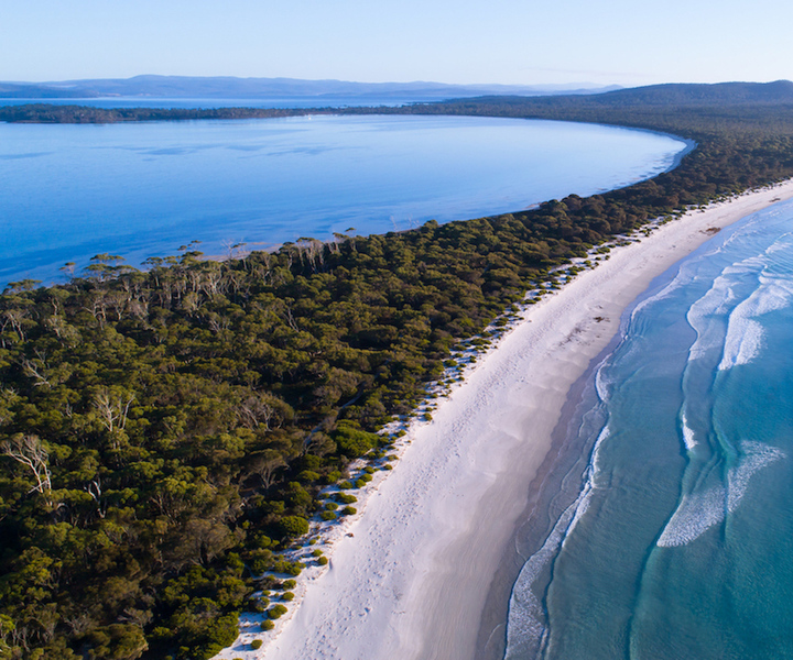 Triabunna: Maria Island and Ile Des Phoques Day Trip by Boat