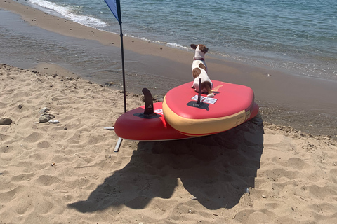 Chania: Lazareta Stand-up Paddle Boarding Erlebnis