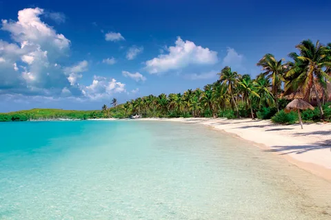 Van Riviera Maya: dagtocht naar Contoy en Isla Mujeres