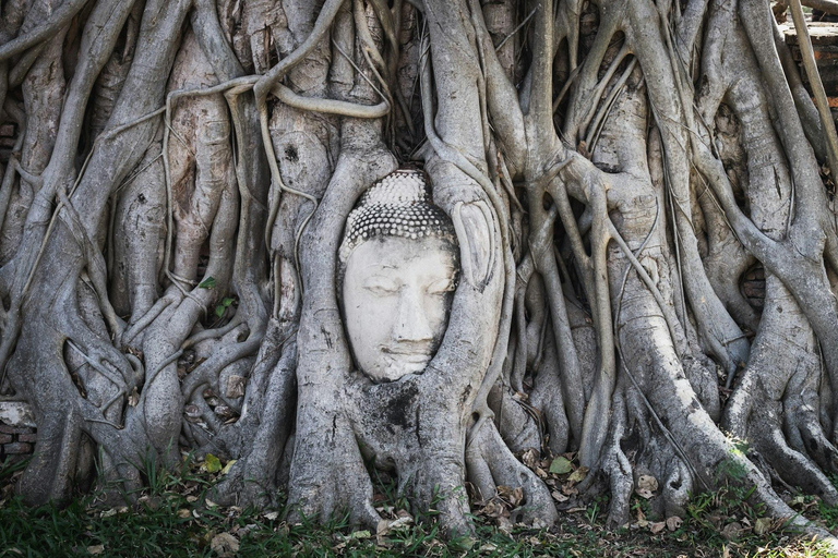 De Bangkok: Excursão guiada em grupo aos templos de Ayutthaya