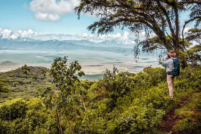 Ab Arusha: 7-tägige Big 5 Safari mit Unterkunft