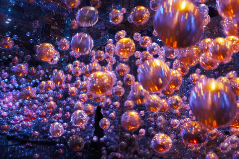 From Dubai: Abu Dhabi City Tour With teamLab Experience