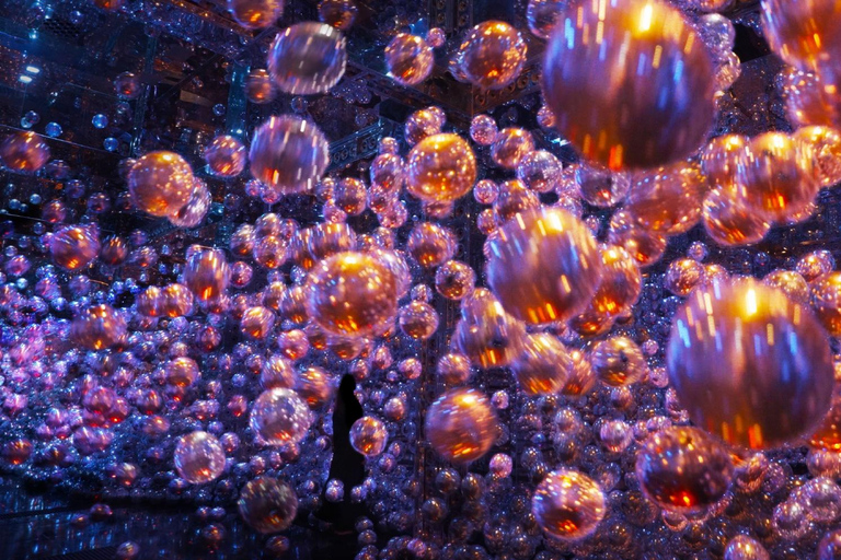 From Dubai: Abu Dhabi City Tour With teamLab Experience